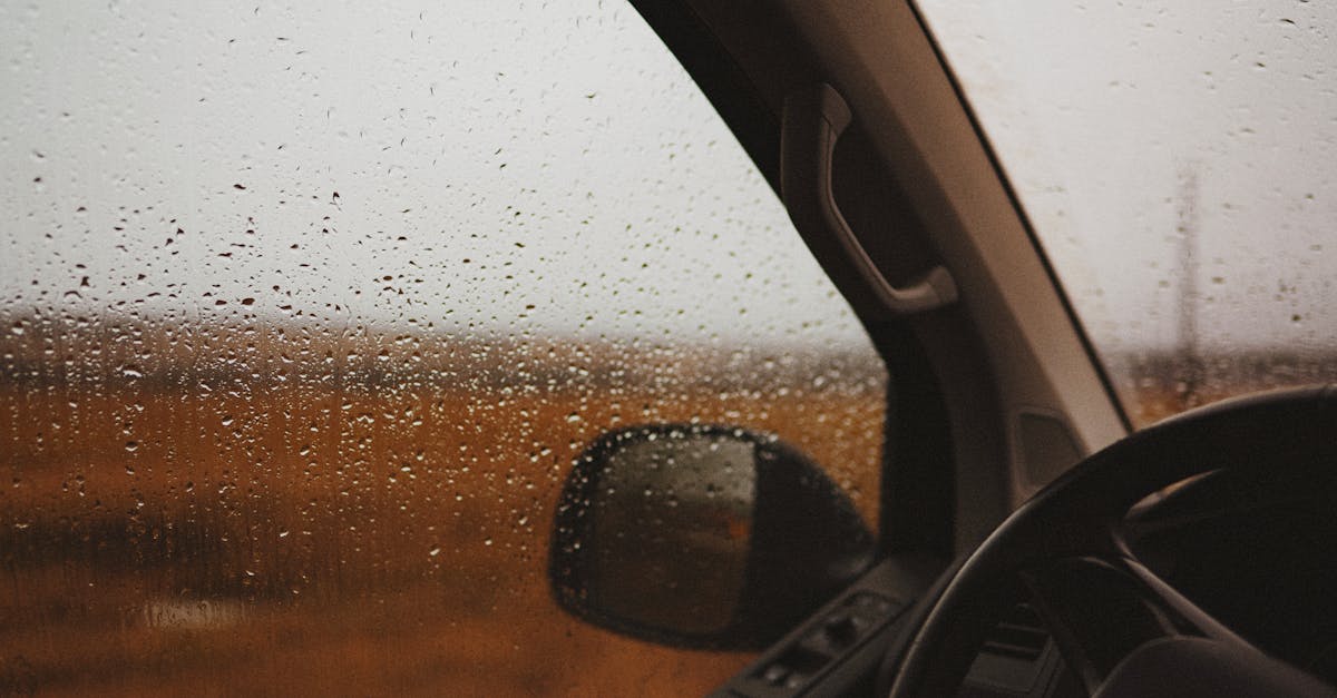 Assessing the Role of Windscreen Quality in Price Determination