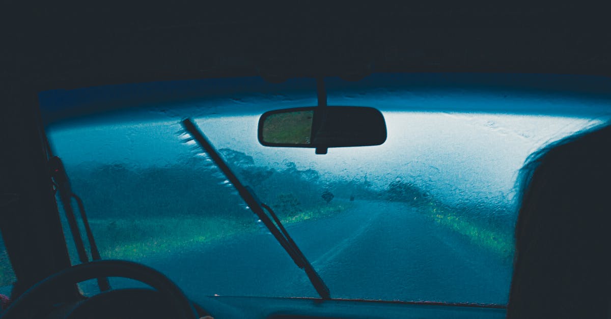 Seasonal Demand Fluctuations and Their Effect on Pricing