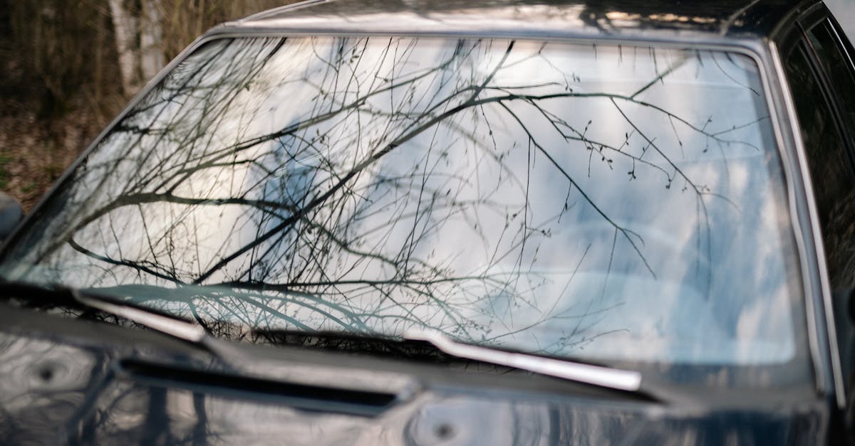 Understanding Hazards Associated with Windscreen Replacement